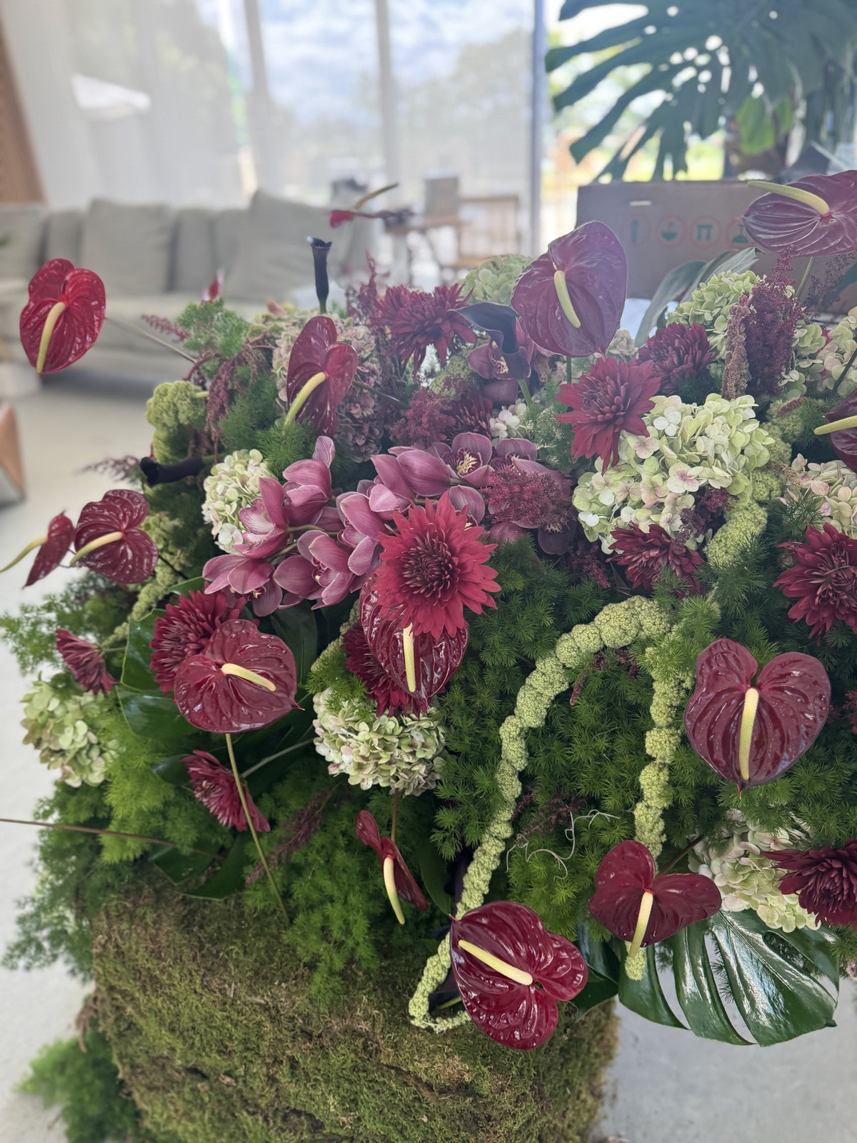 Large arrangement of burgundy anthurium, dahlias, hydrangea and hanging amaranth on moss