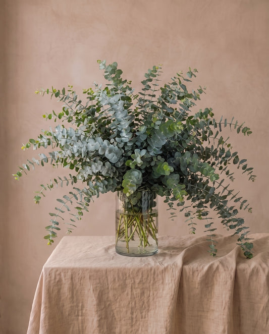Eucalyptus arrangement of loose blue-green branches in a clear glass cylinder vase