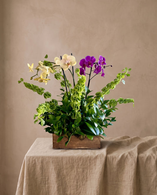 Three Phalaenopsis orchids planted in a wooden container with mixed foliage