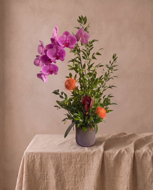 Single Phalaenopsis orchid arrangement with pincushion proteas and ruscus in a ribbed glass vase