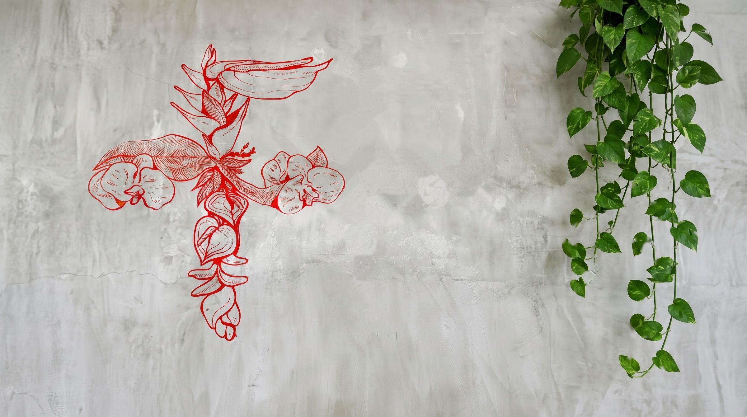 The Fioridella F, drawn with anthurium, heliconia and orchids, painted in red on a concrete wall with a trailing pothos